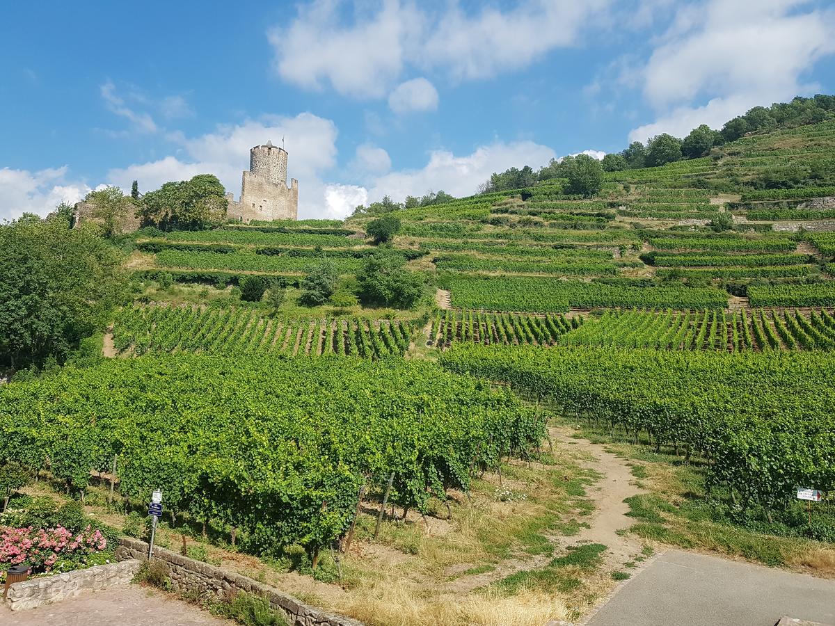 Appartement Côté Vignoble à Kaysersberg-Vignoble Extérieur photo
